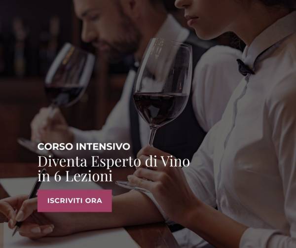 Corso Intensivo: Diventa Esperto di Vino in 6 Lezioni
